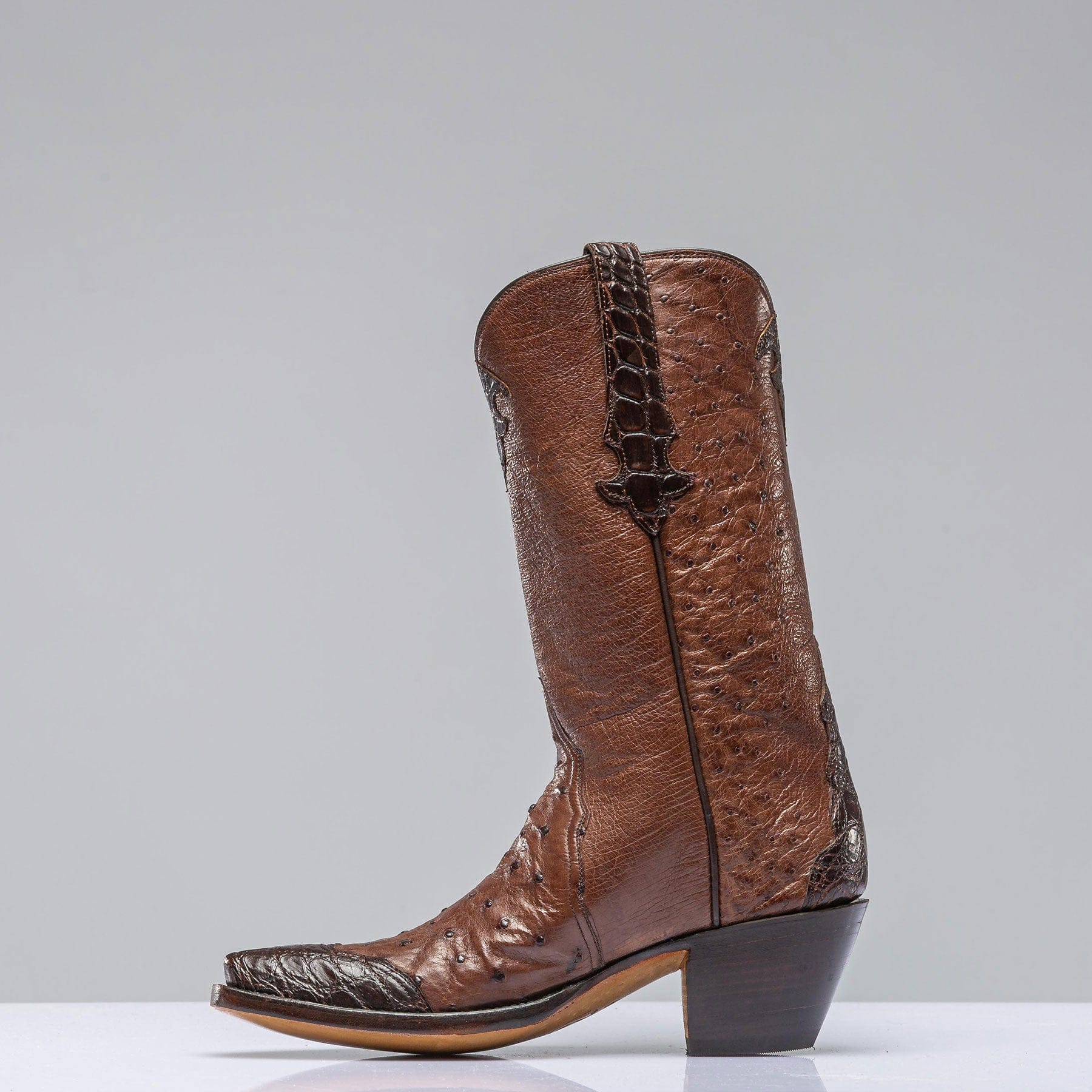 Stallion Boots Chocolate Ostrich Mid Boot with Alligator Ladies - Cowboy Boots
