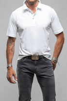 Cruz Cotton Polo In White - AXEL'S