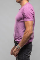 Pismo Cotton T In Plum - AXEL'S