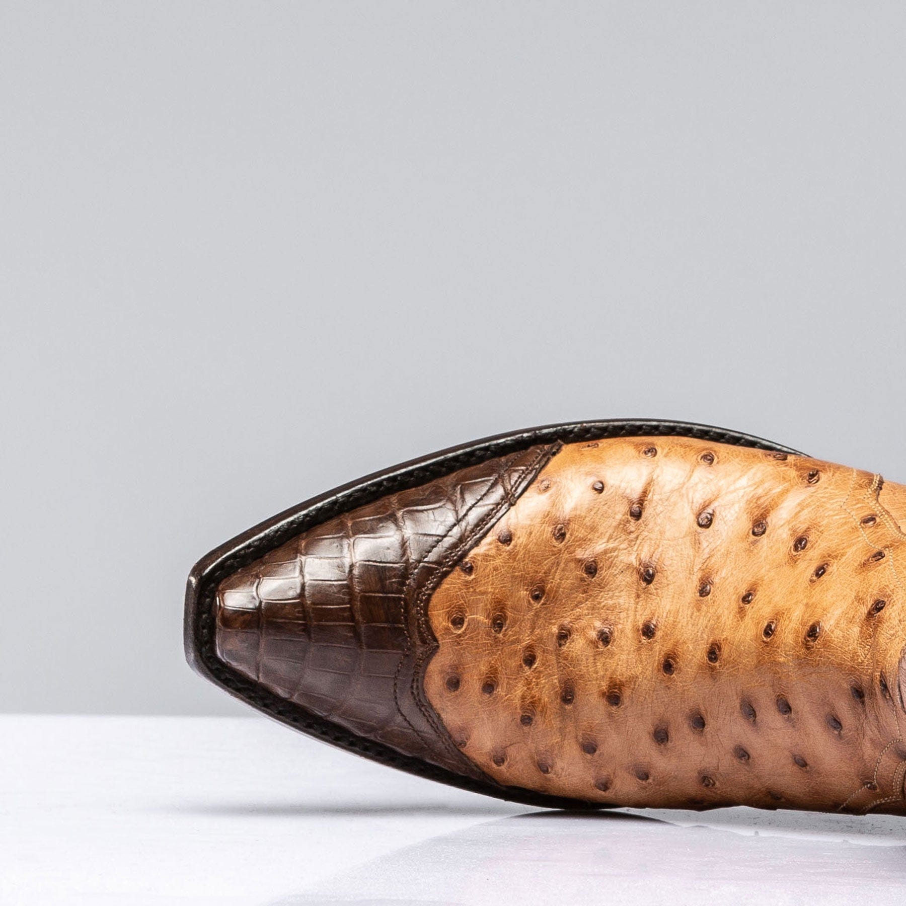 Ostrich Shortie W Chocolate Gator - AXEL'S