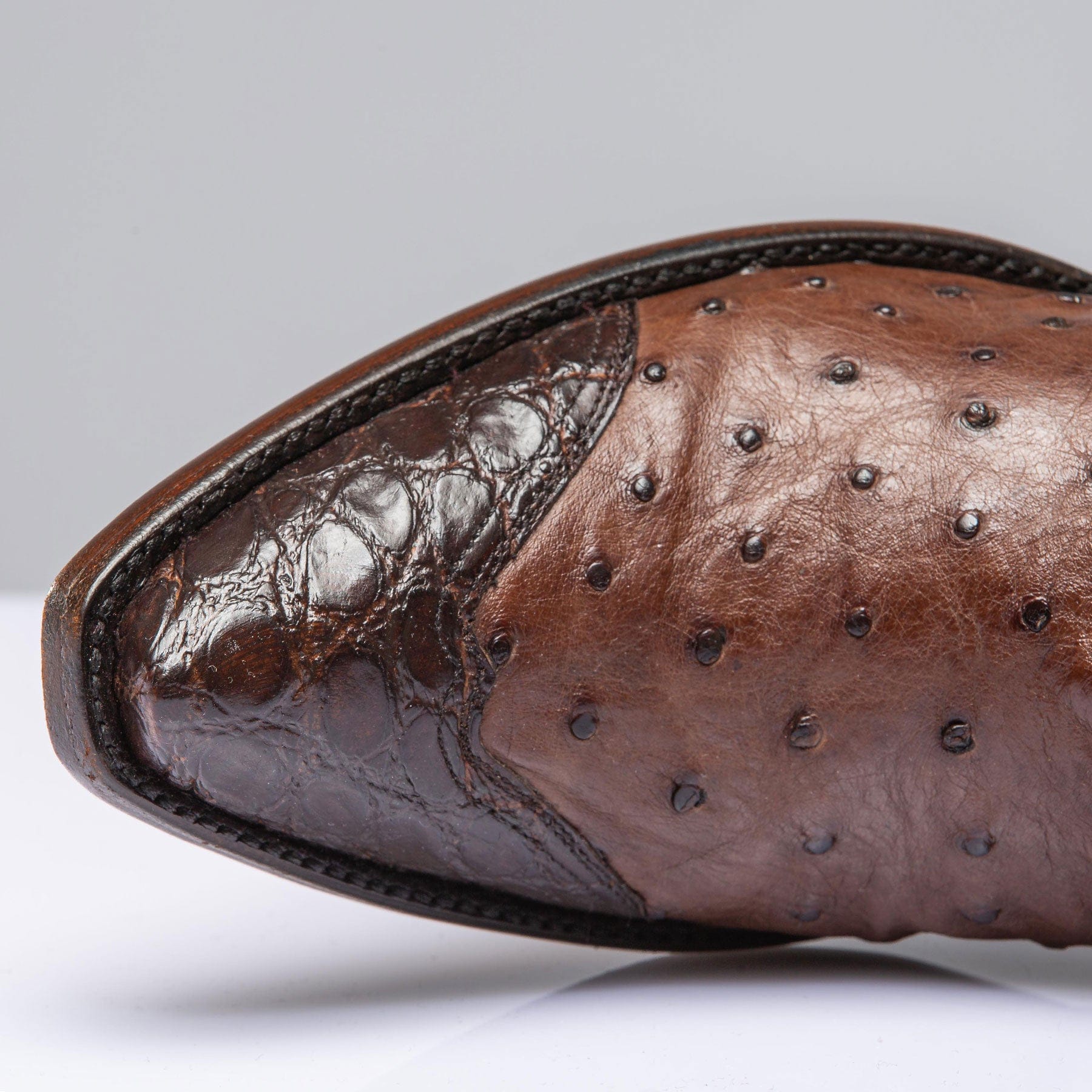 Stallion Boots Chocolate Ostrich Mid Boot with Alligator Ladies - Cowboy Boots