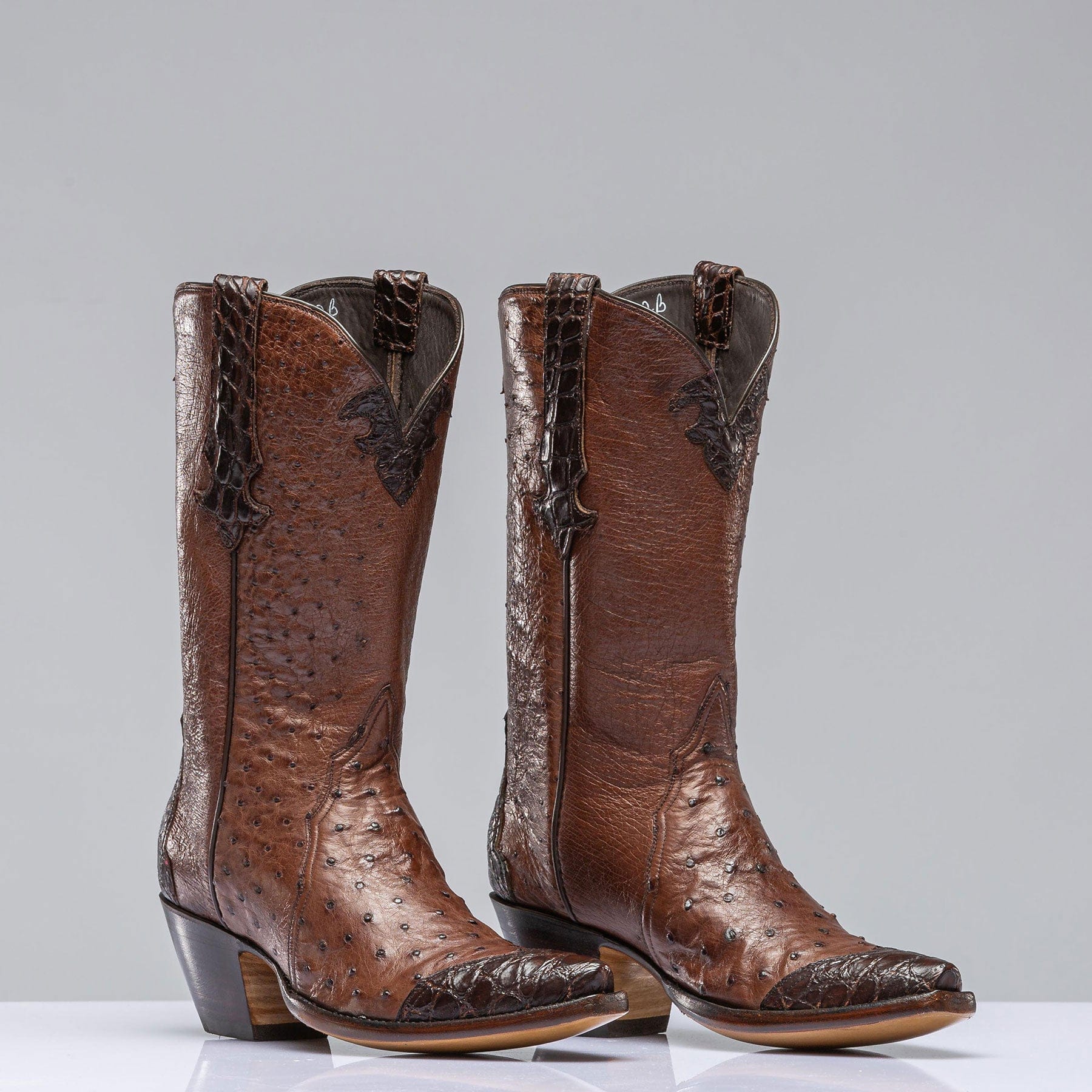 Stallion Boots Chocolate Ostrich Mid Boot with Alligator Ladies - Cowboy Boots