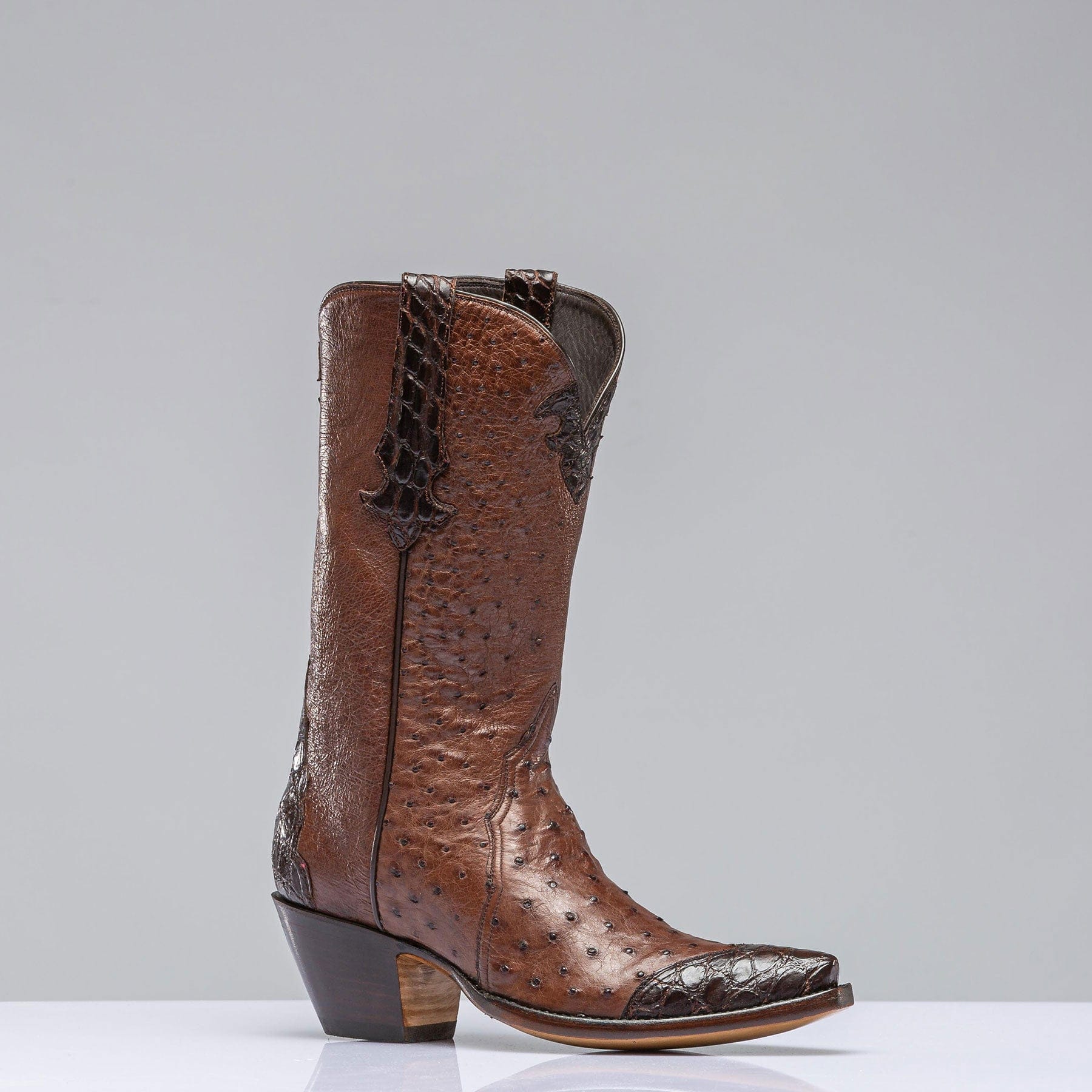 Stallion Boots Chocolate Ostrich Mid Boot with Alligator Ladies - Cowboy Boots